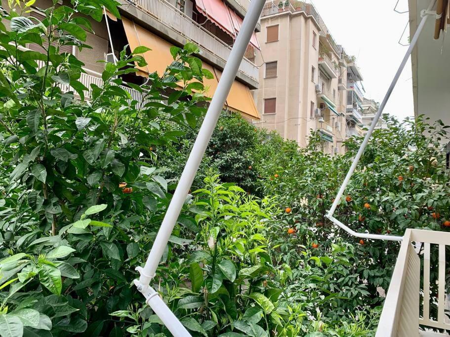 Alexa'S Downtown Apartment Αθήνα Εξωτερικό φωτογραφία
